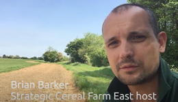 IPM strips at Strategic Cereal Farm East